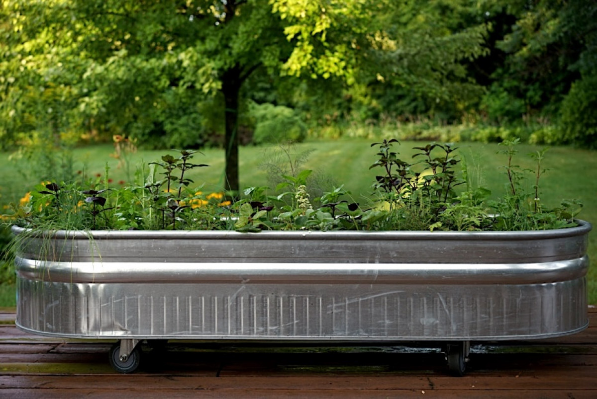 How to Make And Grow Raised Garden Beds