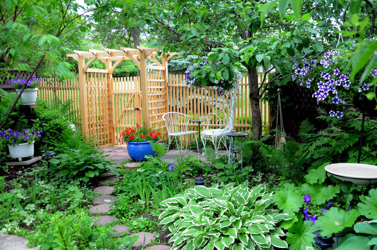 What to Grow in My Garden Ontario