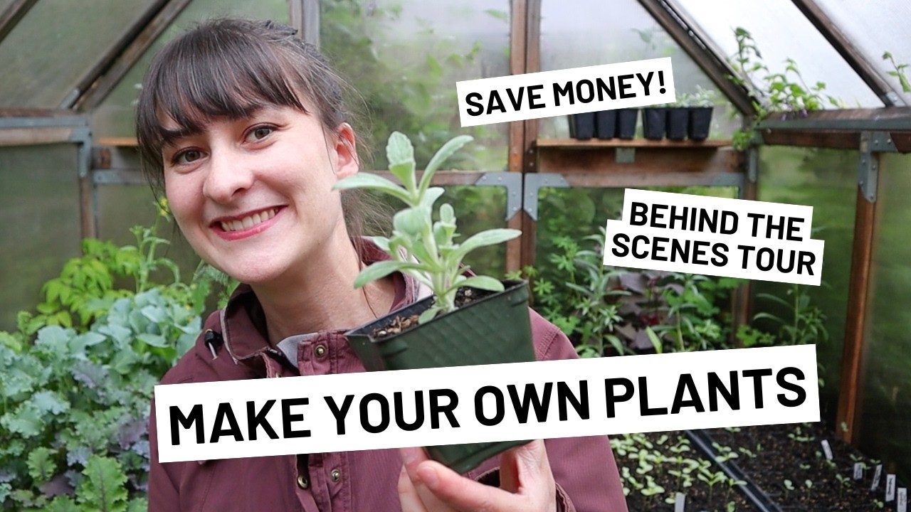 What to Grow in Your Garden to Make Money